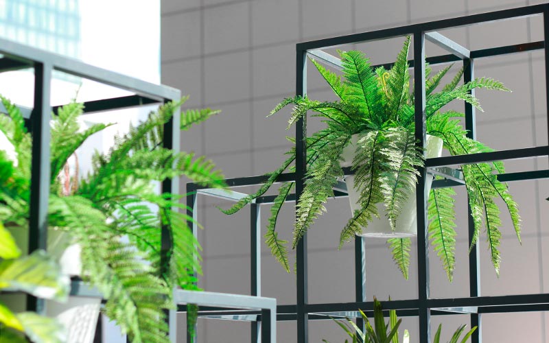 1a-blumen-halbig-wohnen-lifestyle-raumbegruenung-zimmerpflanzen-geruest