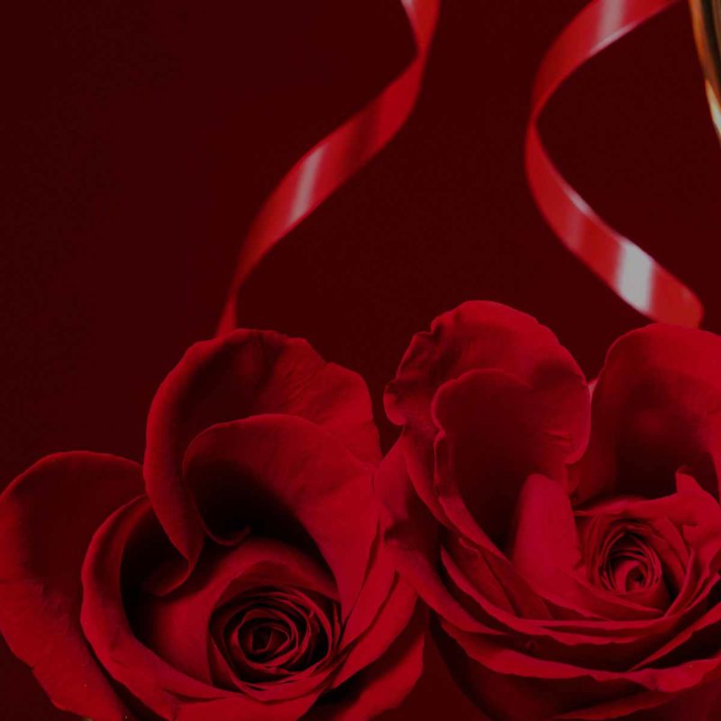 ROSEN  - langstielige rote Rosen (Wählen Sie selbst wieviel Rosen Sie möchten......)