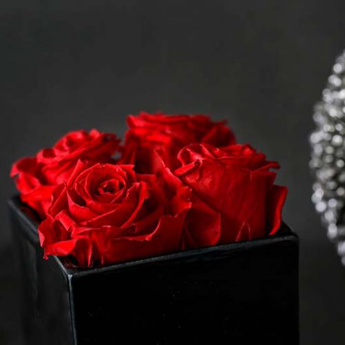 Infinity Rosen in der Box