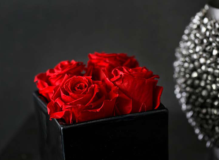 Infinity Rosen in der Box