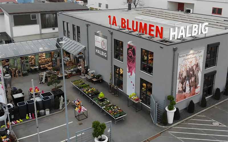 1a-blumen-halbig-standorte-nuernberg-teaser