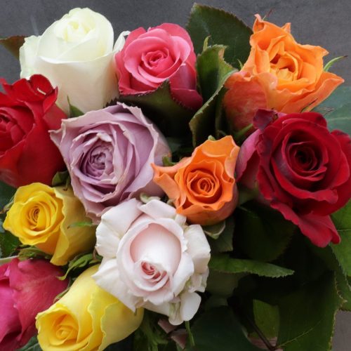 ROSEN - verschiedenfarbige Rosen (Wählen Sie selbst wieviel Rosen Sie möchten......)