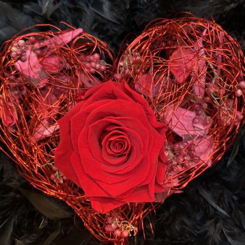 InfinityRose - DU BIST MEIN HERZ