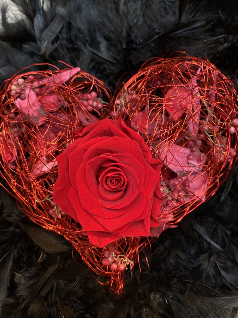 InfinityRose - DU BIST MEIN HERZ