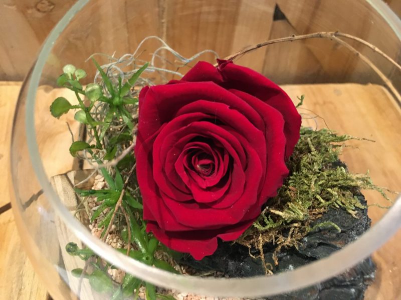 InfinityRose im runden Glas mit Holzständer – Bild 2