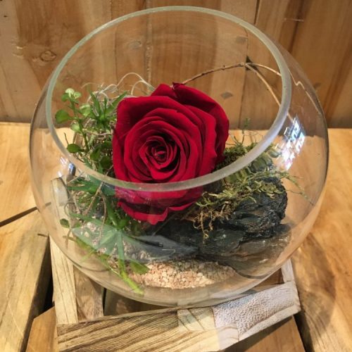 InfinityRose im runden Glas mit Holzständer