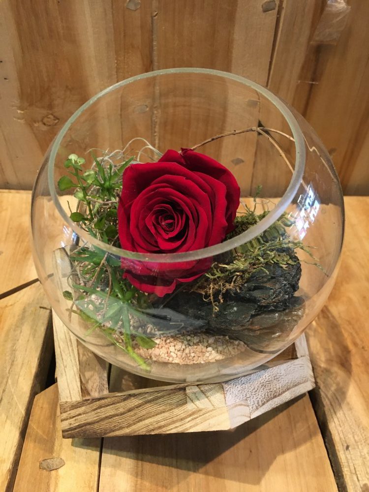 InfinityRose im runden Glas mit Holzständer