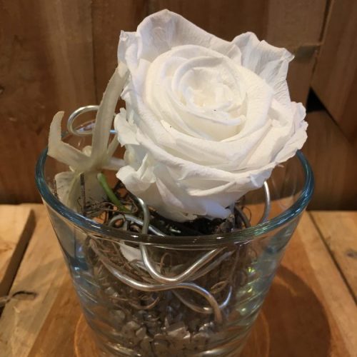 Infinity Rosen im Glas