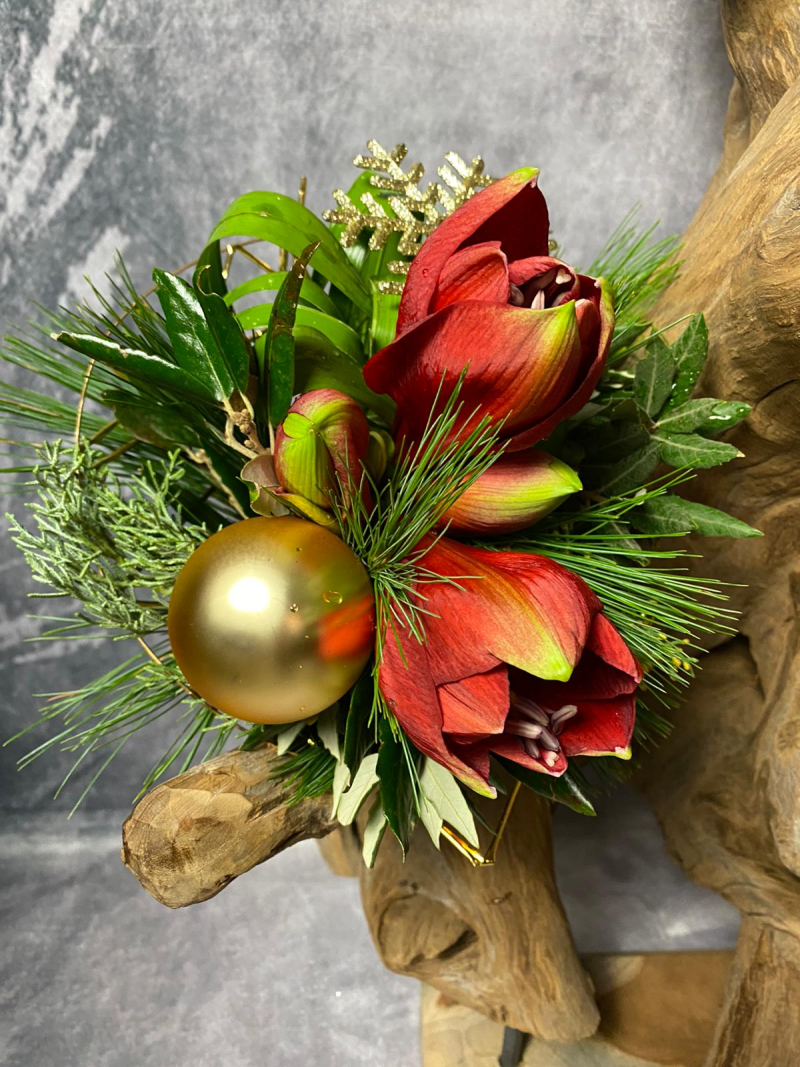 Weihnachtsstrauß - AMARYLLIS ROT oder WEISS – Bild 2