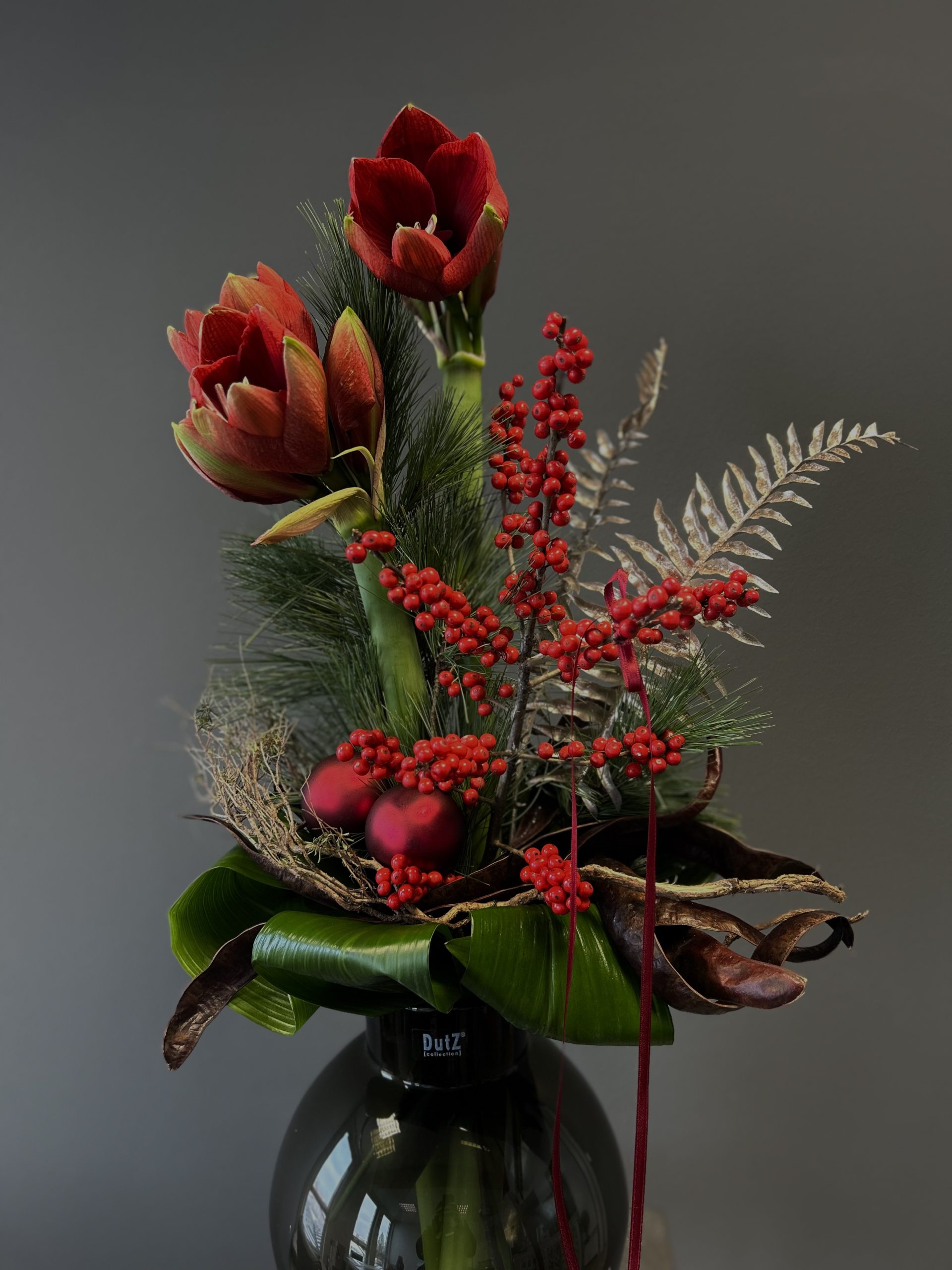 Amaryllis Weihnachtsstrauß "Red Christmas" – Bild 2