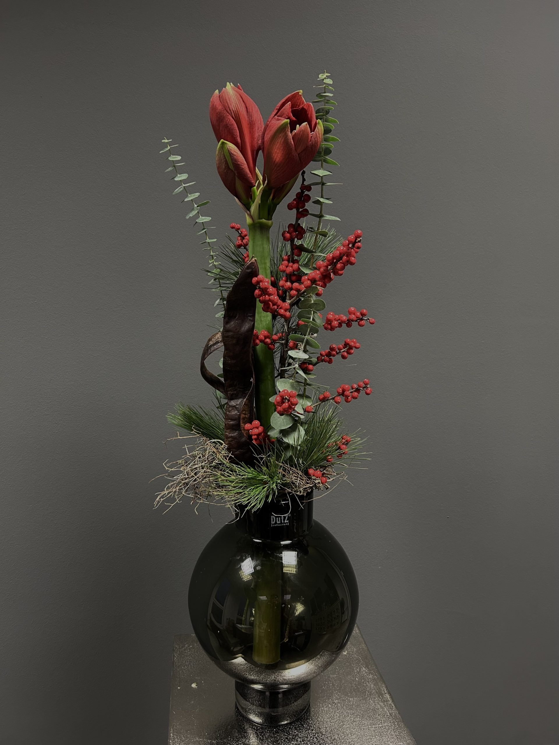 AMARYLLIS IN SZENE – Bild 3